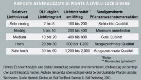 DLI 100 Lichtmessgeräte Turf 3er Set